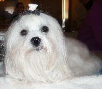 Alina Juni 2011